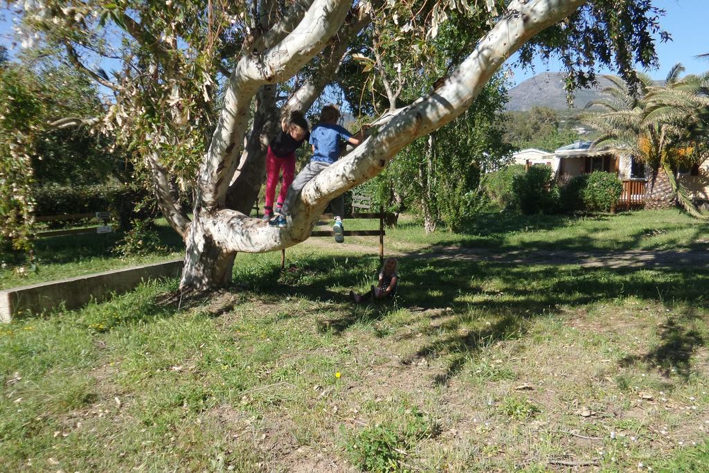 Camping Mobile Home U Sole Marinu Patrimonio Ngoại thất bức ảnh